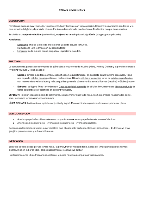 Miniatura del documento RESUMEN-TEMA-5-6.pdf