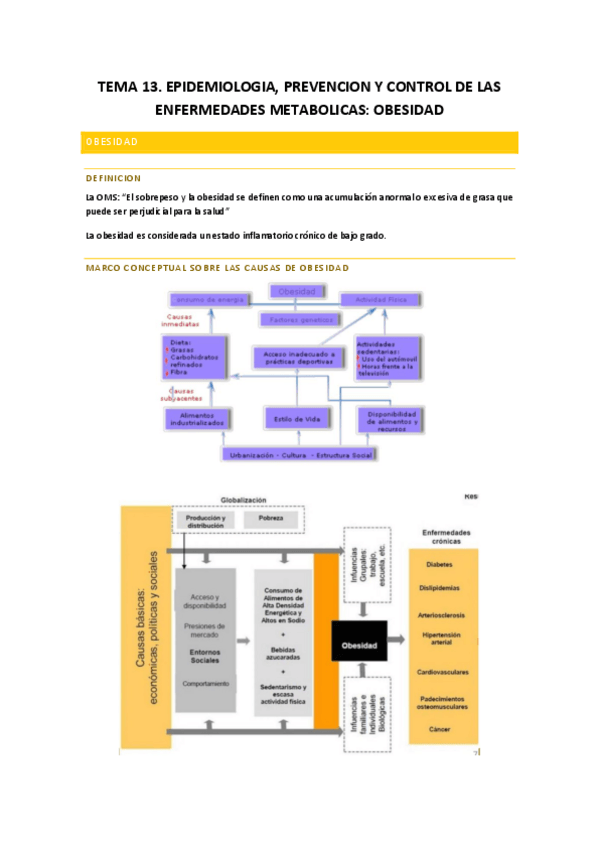 Miniatura del documento SALUD-PUBLICA.pdf