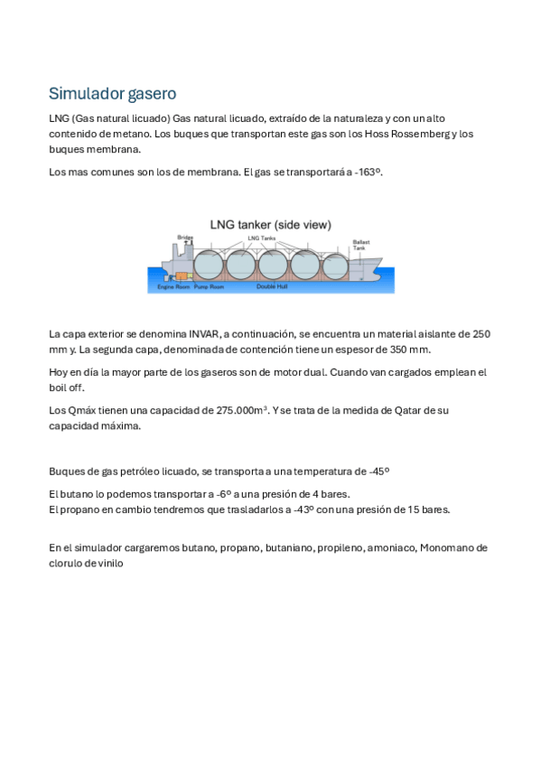 Miniatura del documento Simulador-Carga-y-estiba-LPG.pdf