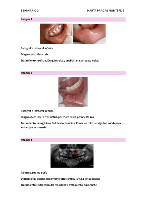 Miniatura del documento IMAGENES-SEMINARIO-3.pdf