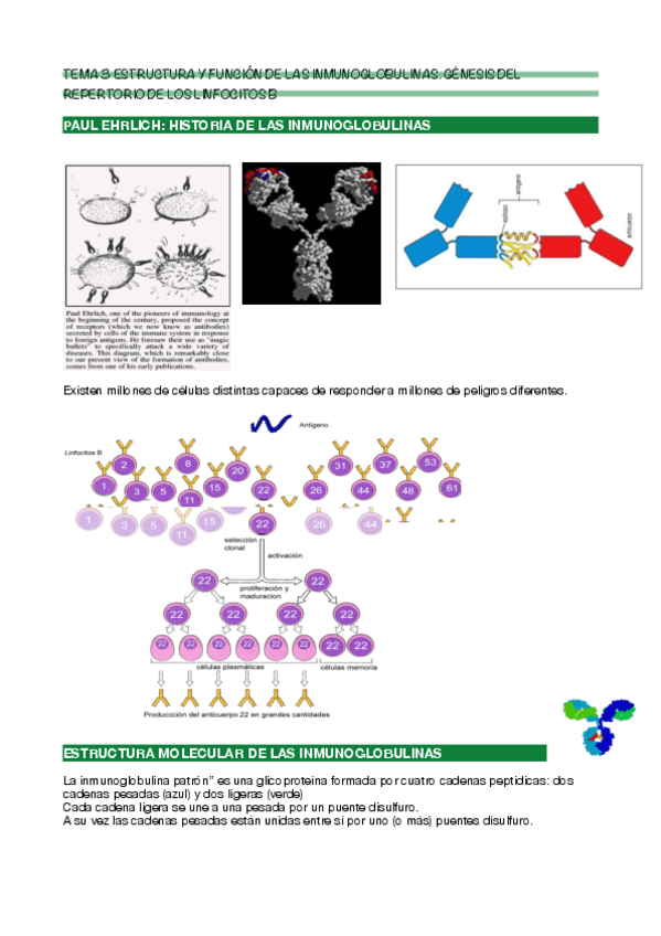 Miniatura del documento Tema-3 Inmuno.pdf