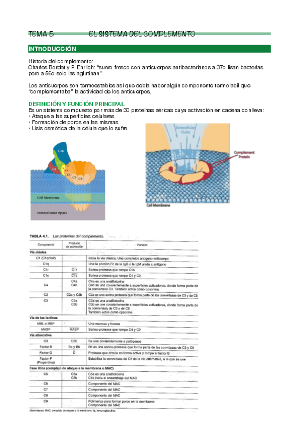 Miniatura del documento Tema-5 Inmuno.pdf