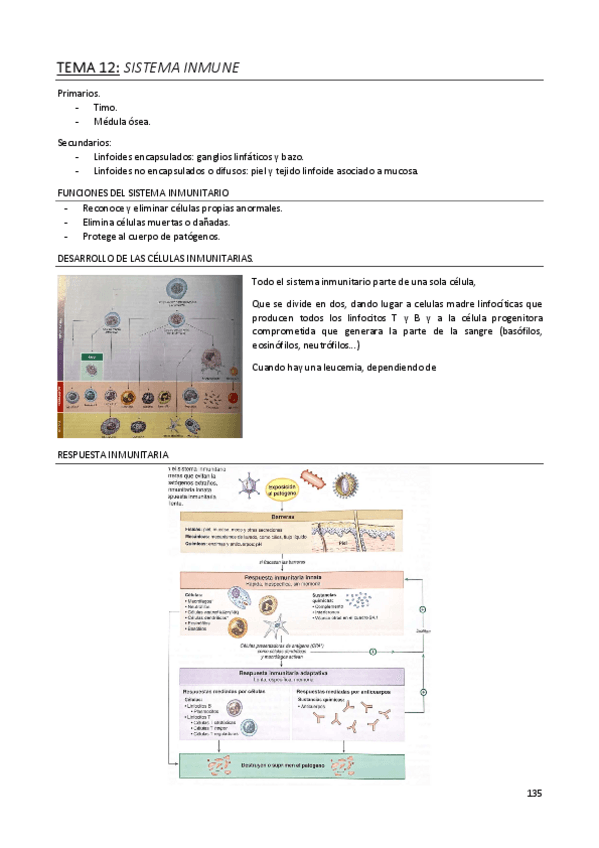 Miniatura del documento TEMA-12-SISTEMA-INMUNE.pdf
