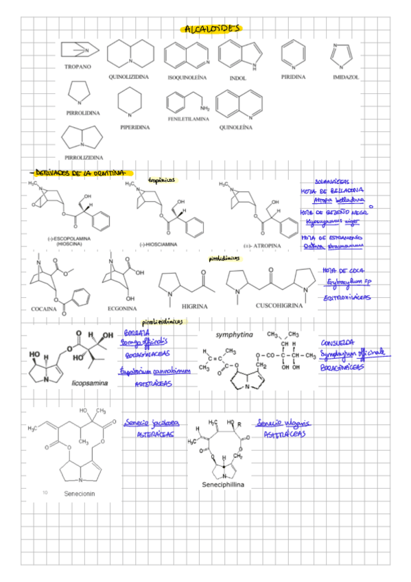 Miniatura del documento Estructuras-alcaloides.pdf
