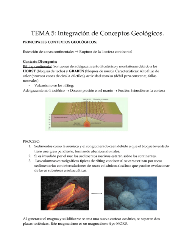 Miniatura del documento TEMA-5-GEO.pdf