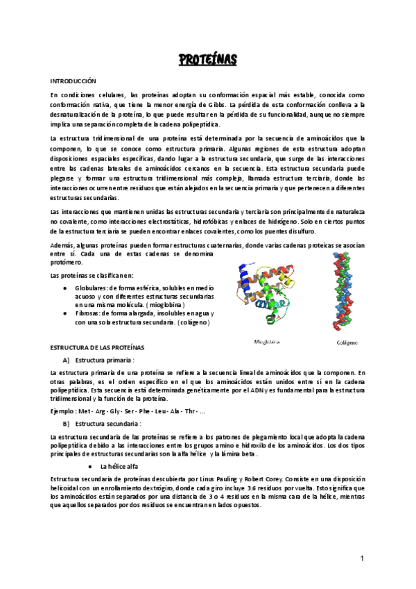 Miniatura del documento Tema-6--PROTEINAS.pdf