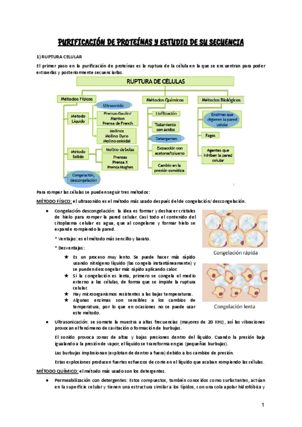 Miniatura del documento Tema-7--PURIFICACION-DE-PROTEINAS-Y-ESTUDIO-DE-SU-SECUENCIA.pdf