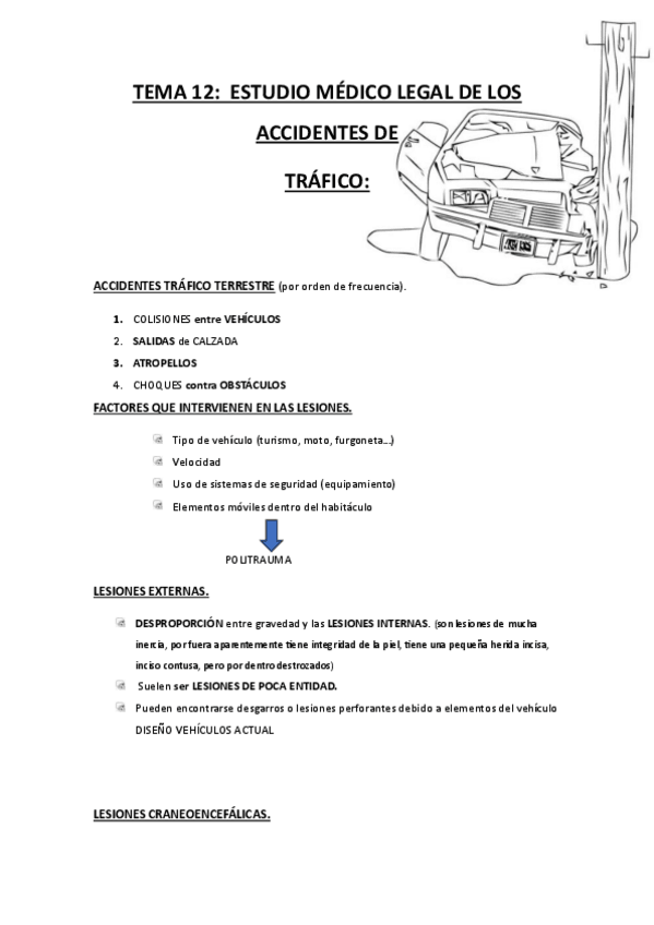 Miniatura del documento ACCIDENTES-DE-TRAFICO.pdf