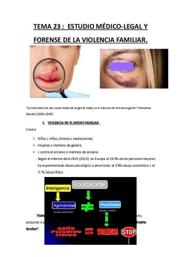 Miniatura del documento VIOLENCIA-FAMILIAR.pdf