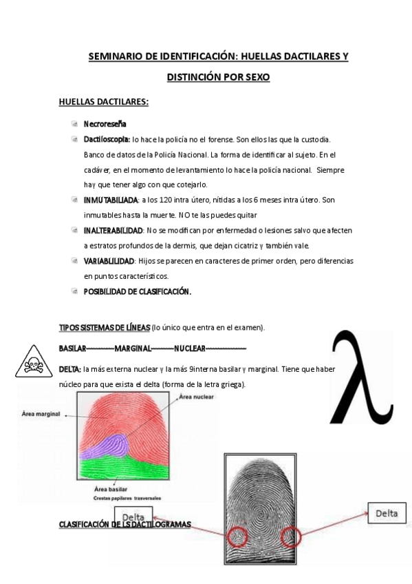 Miniatura del documento HUELLAS-DACTILARES.pdf