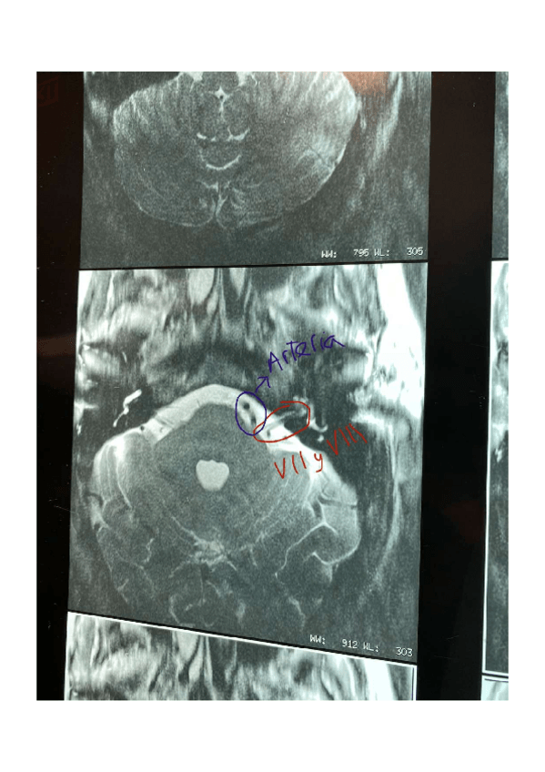 Miniatura del documento FOTOS-RM-EXAMEN-PRACTICO-ANATOMIA.pdf