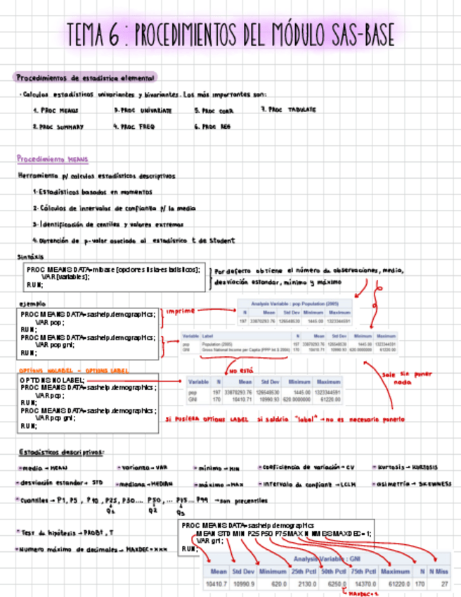 Miniatura del documento SAS-Tema-6.pdf