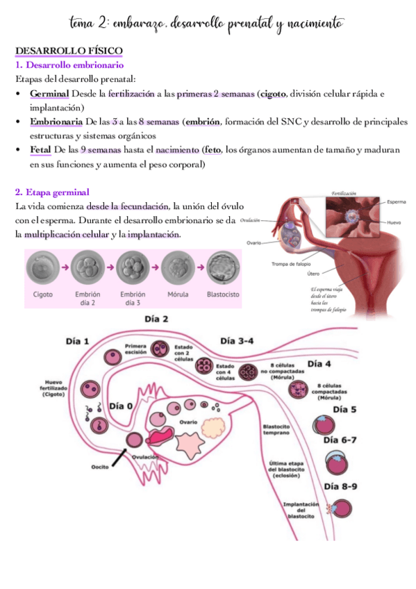 Miniatura del documento tema-2.pdf
