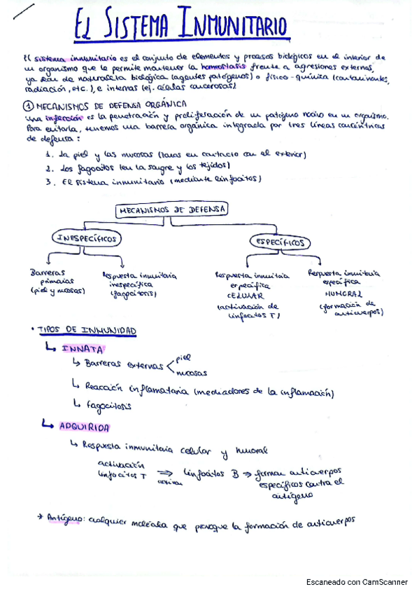 Miniatura del documento apuntes-inmunidad-biologia-evau.pdf