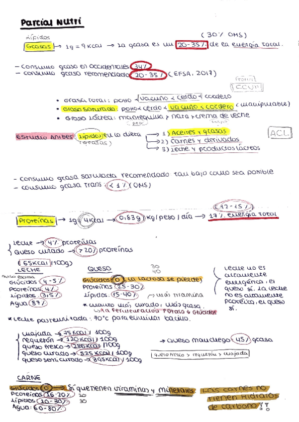 Miniatura del documento Esquemitas-nutri-mery.pdf