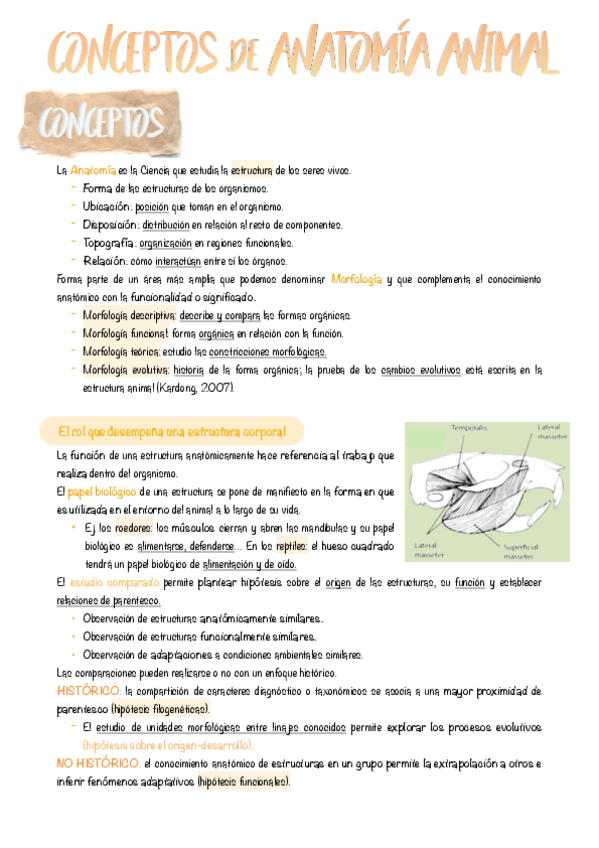 Miniatura del documento 1.-Sobre-la-anatomia-animal.pdf