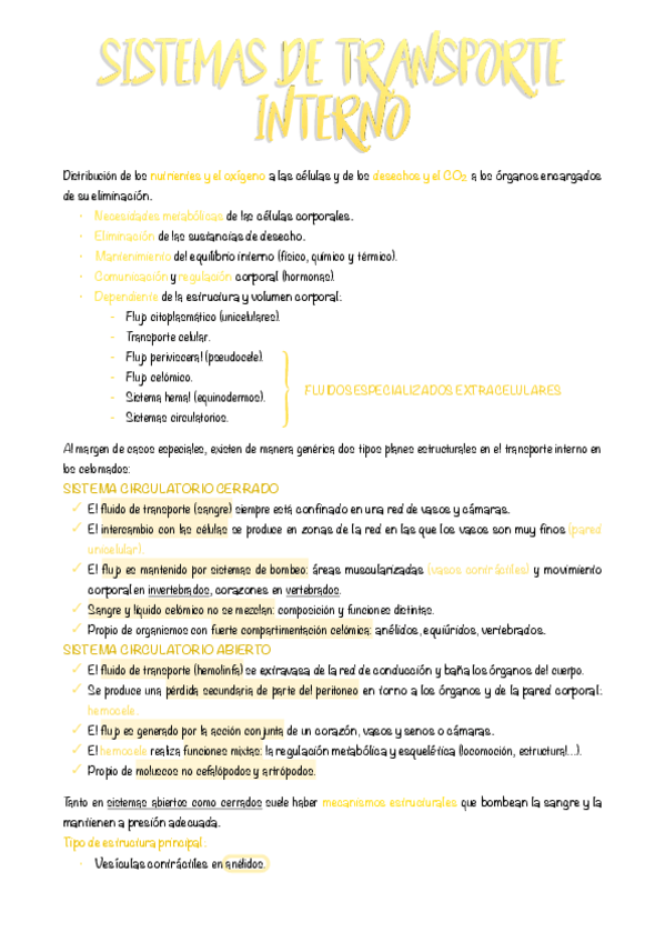 Miniatura del documento 6.-Sistemas-de-transporte-interno-1.pdf