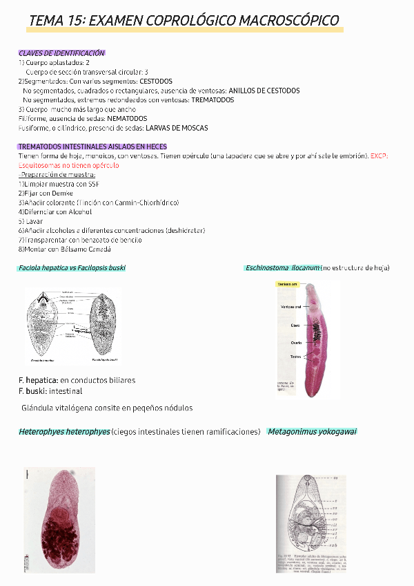 Miniatura del documento Resumen-tema-15.pdf