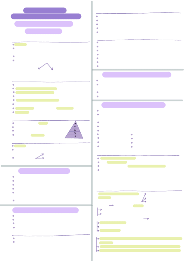 Miniatura del documento Esquemas-parte-de-marta-psi-AMB.pdf