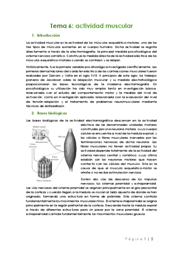 Miniatura del documento Tema 6.pdf