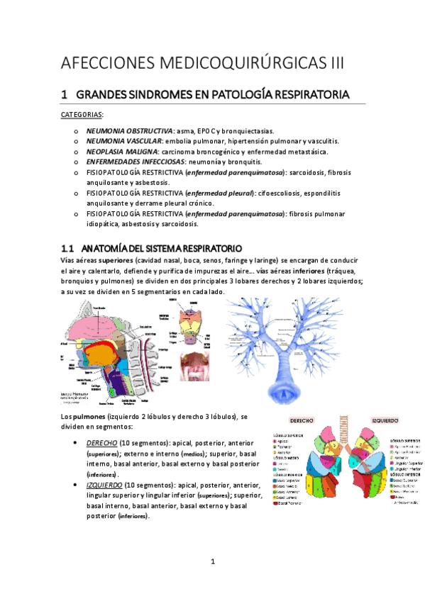 Miniatura del documento AFECCIONES-MEDICOQUIRURGICAS-III.pdf
