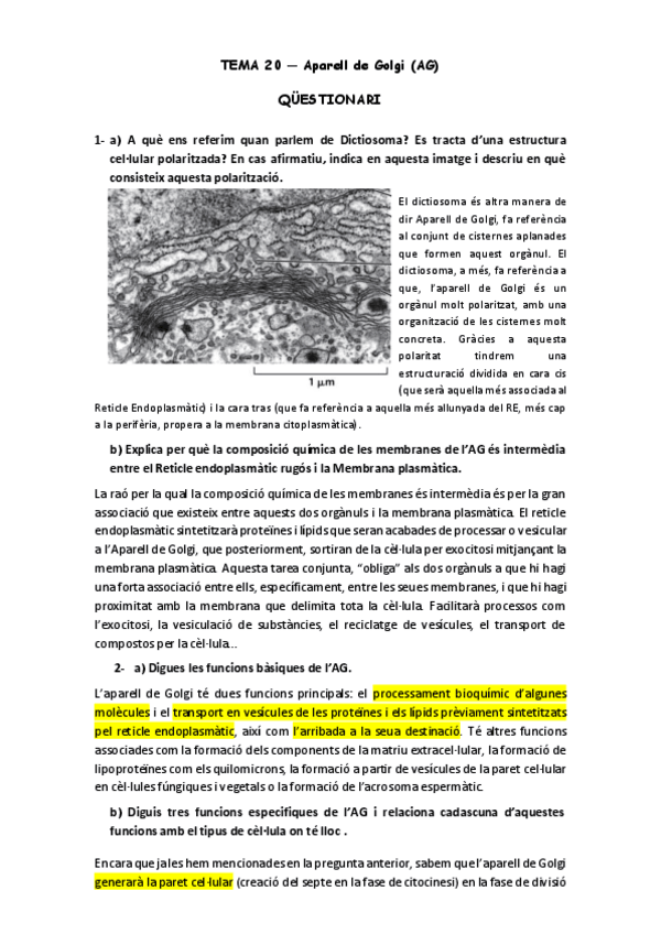 Miniatura del documento QUESTIONARI-Tema-20.pdf