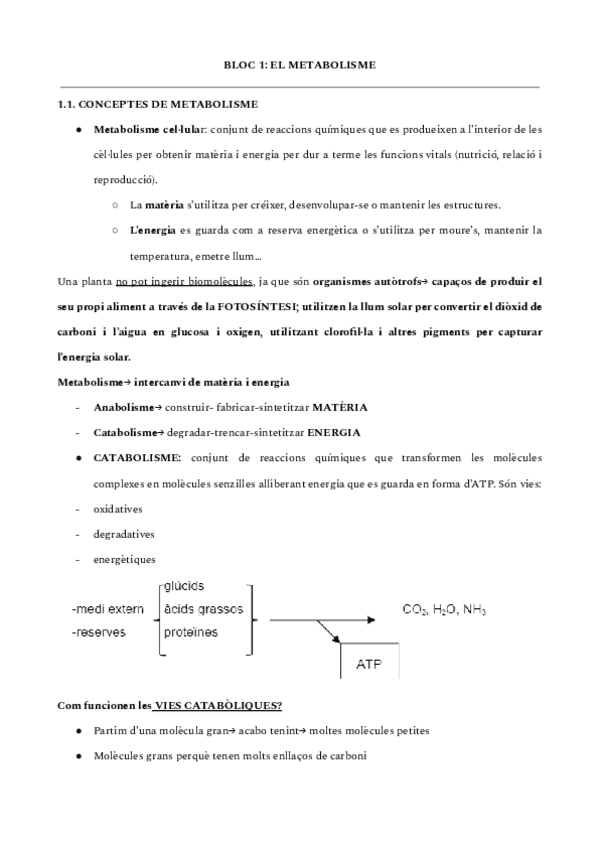 Miniatura del documento EL-METABOLISME-CELLULAR-I-ELS-ENZIMS.pdf