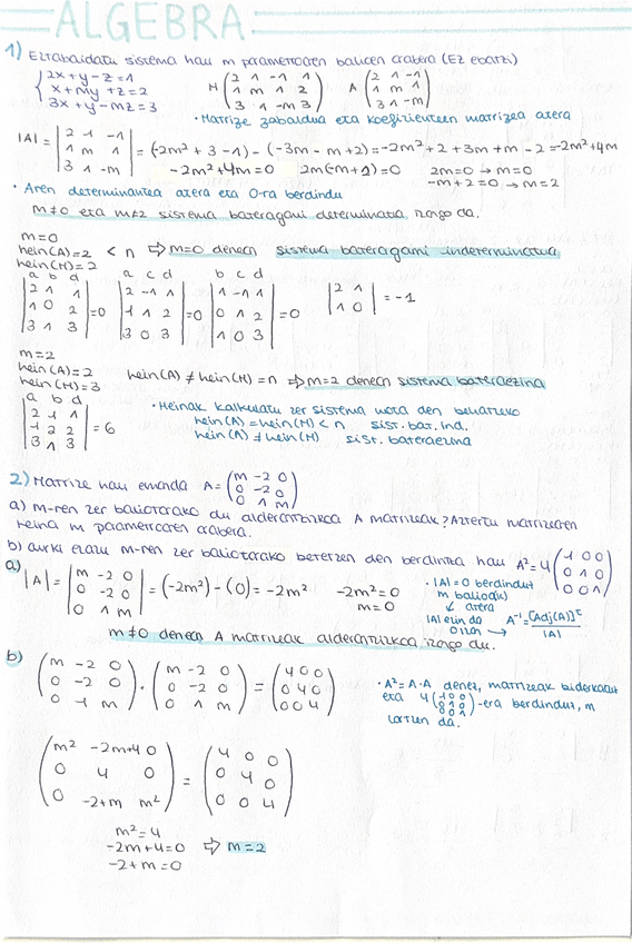 Miniatura del documento ALGEBRA-ariketak-ebatzita-matrizeak.pdf