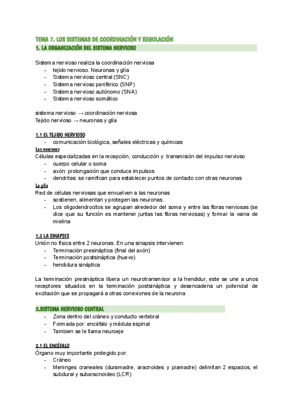 Miniatura del documento TEMA-7.-LOS-SISTEMAS-DE-COORDINACION-Y-REGULACION.pdf