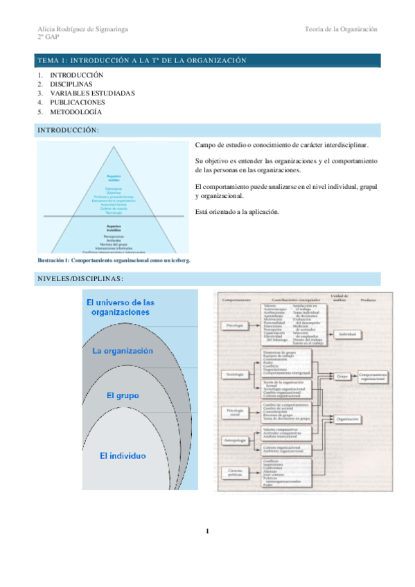 Miniatura del documento TEMA-1-Teoria-de-la-Organizacion.pdf