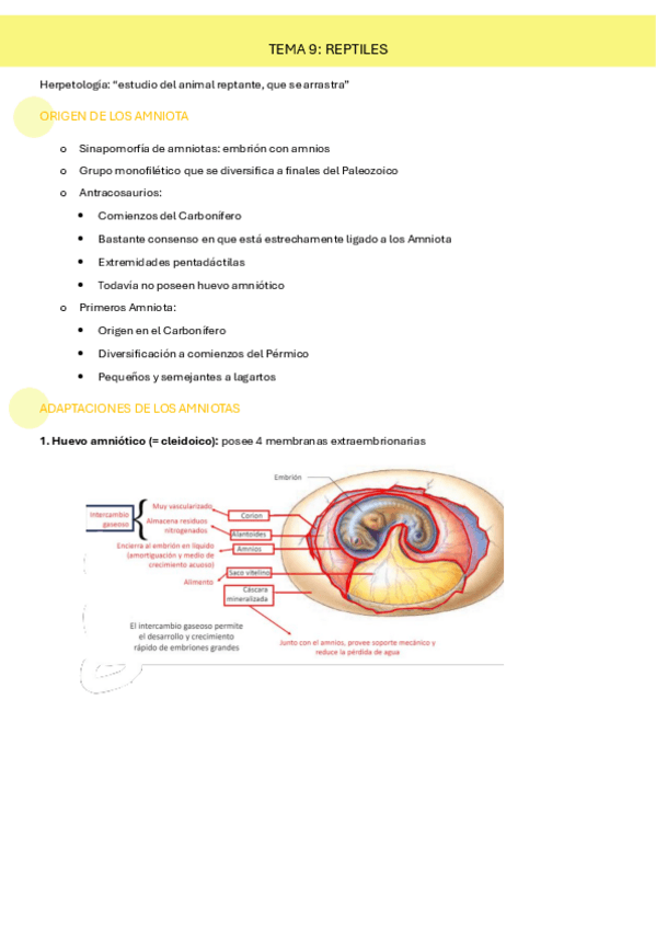 Miniatura del documento TEMA-9-ZOOLOGIA.pdf