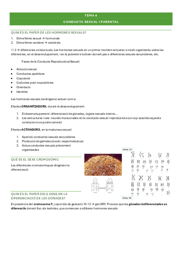 Miniatura del documento tema4psicofisio-II.pdf