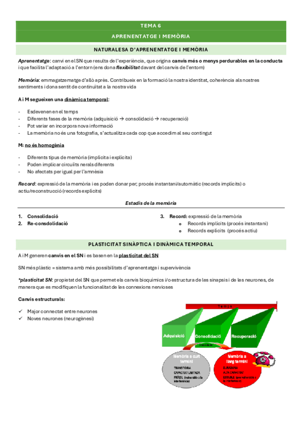 Miniatura del documento tema6psicofisio-II.pdf