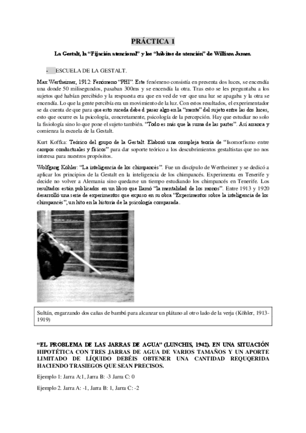 Miniatura del documento TODAS-LAS-PRACTICAS-DE-ATENCION.pdf