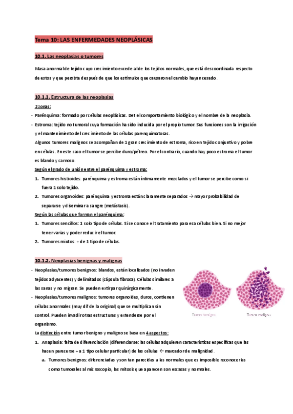 Miniatura del documento T.10-Fisiopatologia.pdf