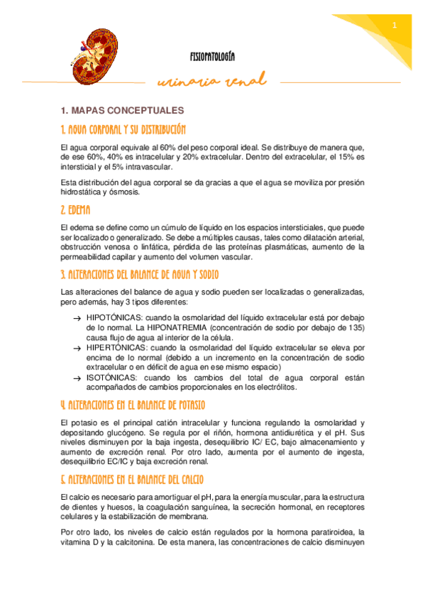 Miniatura del documento FISIOPATOLOGIA-URINARIA-RENAL--preguntas-examenes.pdf