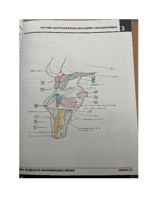 Miniatura del documento laminas-5.pdf