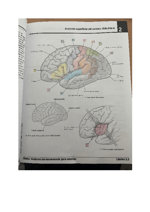 Miniatura del documento laminas-6-1.pdf