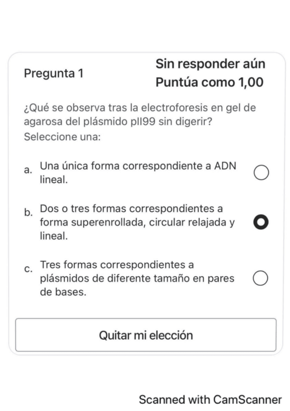 Miniatura del documento Cuestionario-Practica-3.pdf