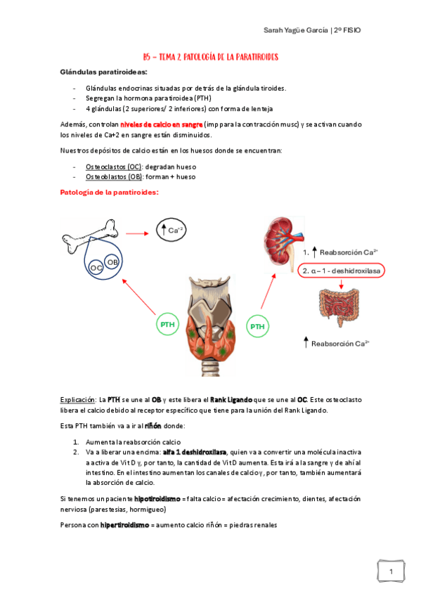 Miniatura del documento Afecciones-MQ-I-B5.-Tema-2-Patologia-Paratiroidea.pdf
