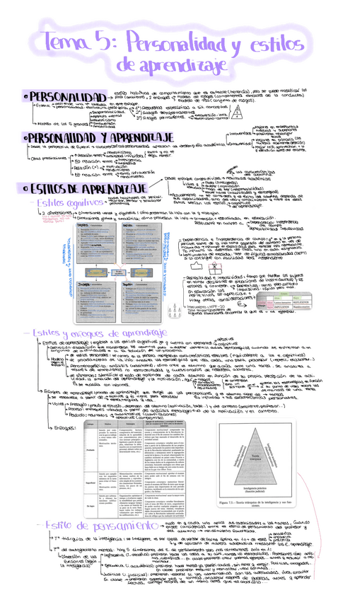 Miniatura del documento Tema-5-pe-esquema.pdf