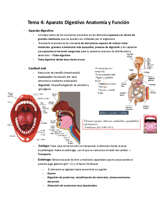Miniatura del documento Temas-4-5.pdf