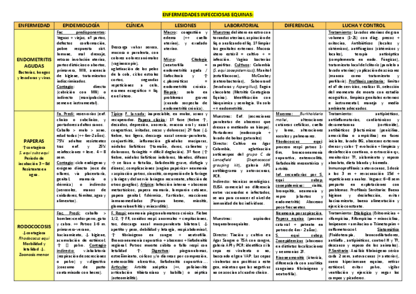 Miniatura del documento Tablas-comparativas-3-parcial.pdf