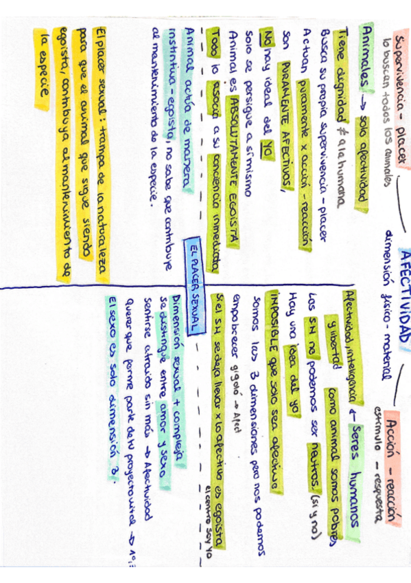 Miniatura del documento Apuntes completos antropología.pdf