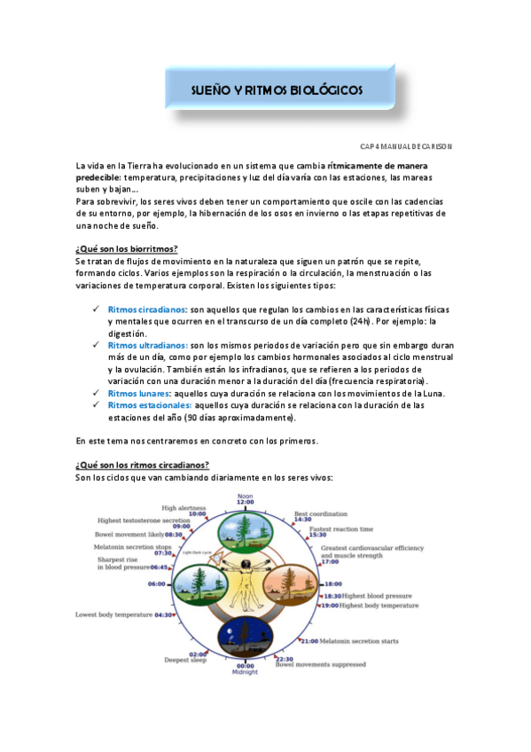 Miniatura del documento SUENO-Y-RITMOS-CIRCADIANOS.pdf