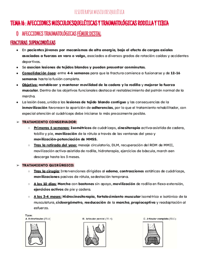 Miniatura del documento Tema 16: rodilla.pdf