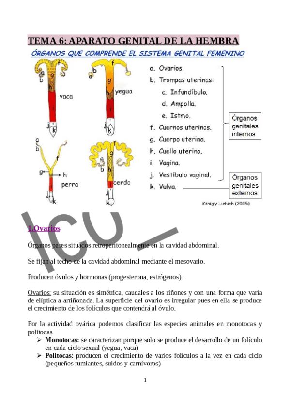 Miniatura del documento TEMA-6-APARATO-GENITAL-DE-LA-HEMBRA.pdf