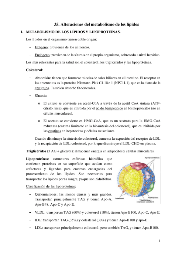 Miniatura del documento 35.-Alteraciones-del-metabolismo-de-los-lipidos.pdf
