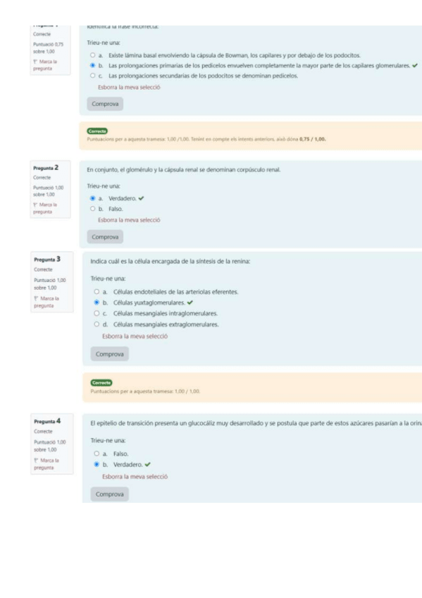 Miniatura del documento Cuestionario-excretor-sol.pdf