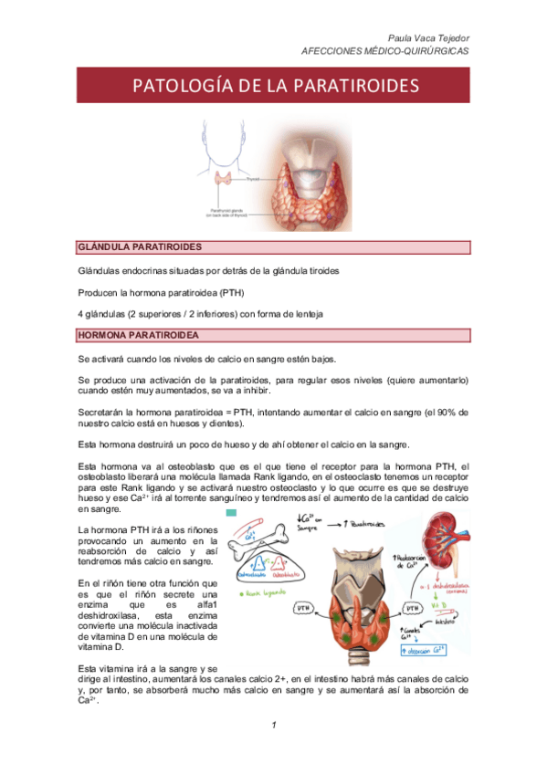 Miniatura del documento PATOLOGIA-DE-LA-PARATIROIDES.pdf